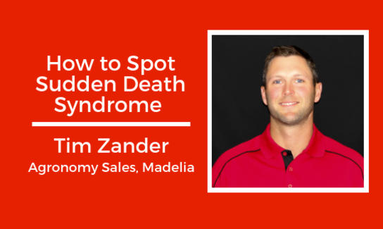 Website Dan Jones And Roger Kienholz